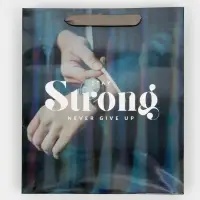 Пакет подарочный ламинированный, упаковка, &laquo;Никогда не сдавайся&raquo;, радужная голография, ML 23 х 27 х 11.5 см