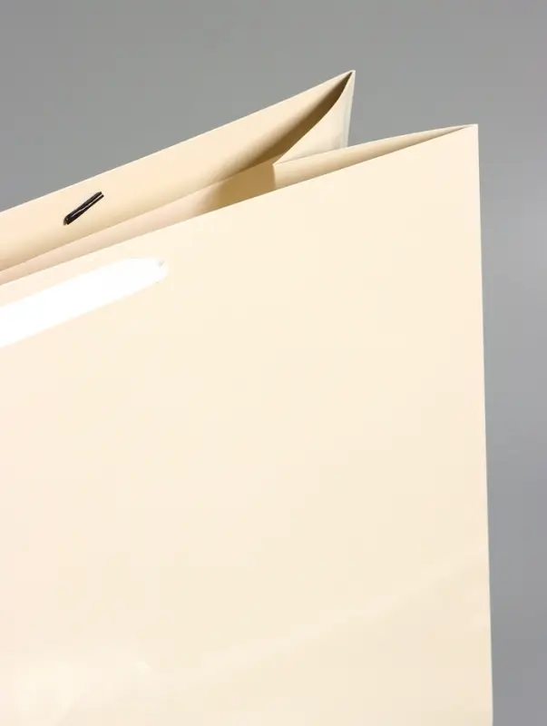 Пакет ламинированный горизонтальный "Молочный", XXL  61 х 46 х 20 см