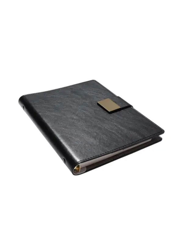 Органайзер на кольцах, А5, с хлястиком, 80л, линия, к/зам, Черный