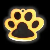 Светоотражающий элемент &laquo;Лапка&raquo;, 5,5 &times; 4,8 см, цвет оранжевый