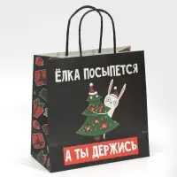 Пакет подарочный новогодний &laquo;А ты держись&raquo;, 22 х 22 х 11 см