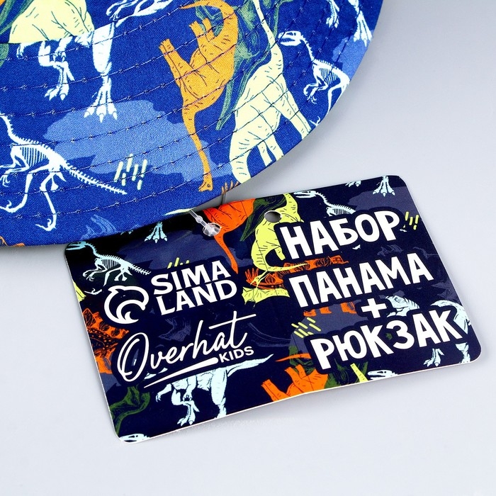 Детский набор "Динозавр" (панама+ мешок для обуви), р-р. 52-54 см
