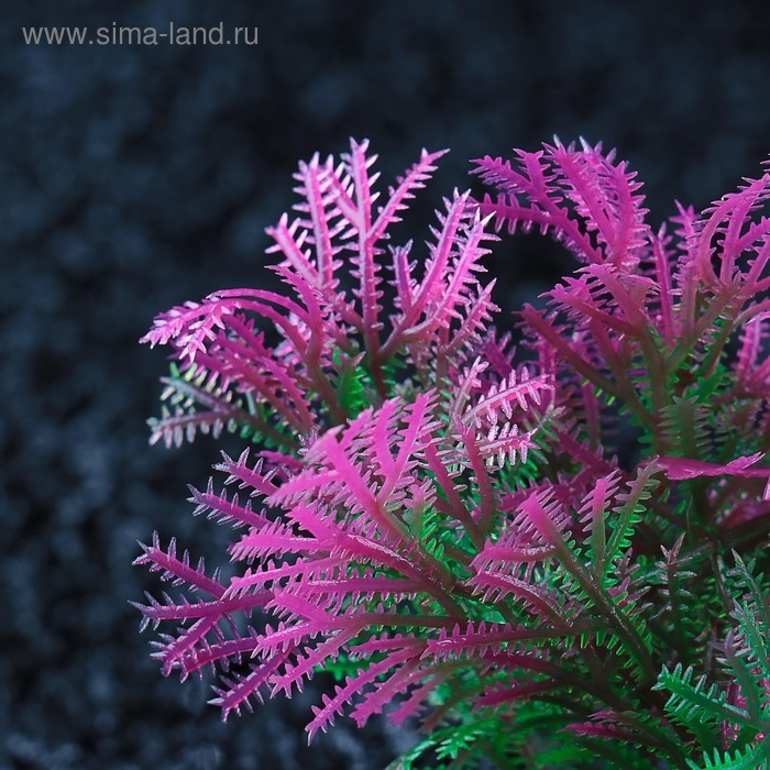 Набор растений искусственных для аквариума (2 шт), 10 см Набор растений искусственных для аквариума (2 шт), 10 см