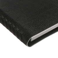 Планинг датированный 2025 года, ESCALADA, 76 листов, на гребне, интегральная обложка, искуственная кожа, тиснение фольгой, блок 70, чёрный, 310 х115мм Планинг датированный 2025 года, ESCALADA, 76 листов, на гребне, интегральная обложка, искуственная кожа, тиснение фольгой, блок 70, чёрный, 310 х115мм