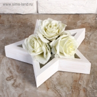 Кашпо деревянное 27&times;27&times;4.5 см "Звезда", белая кисть