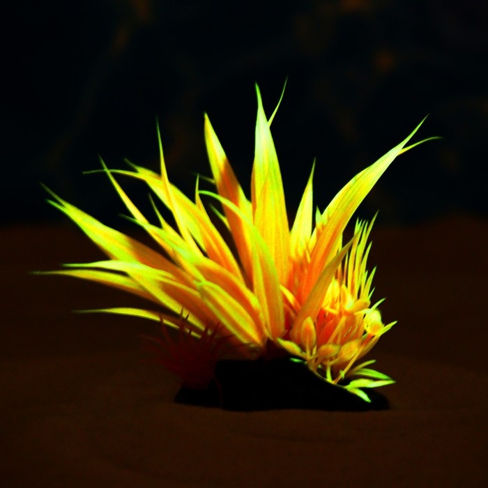 Растение искусственное аквариумное, светящееся, 10 см, красное Растение искусственное аквариумное, светящееся, 10 см, красное