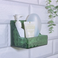 Органайзер для хранения «GREEN», навесной, 1 секция, с клеевой основой, 11,8 × 7,8 × 9 см, цвет полупрозрачный/зелёный Органайзер для хранения «GREEN», навесной, 1 секция, с клеевой основой, 11,8 × 7,8 × 9 см, цвет полупрозрачный/зелёный