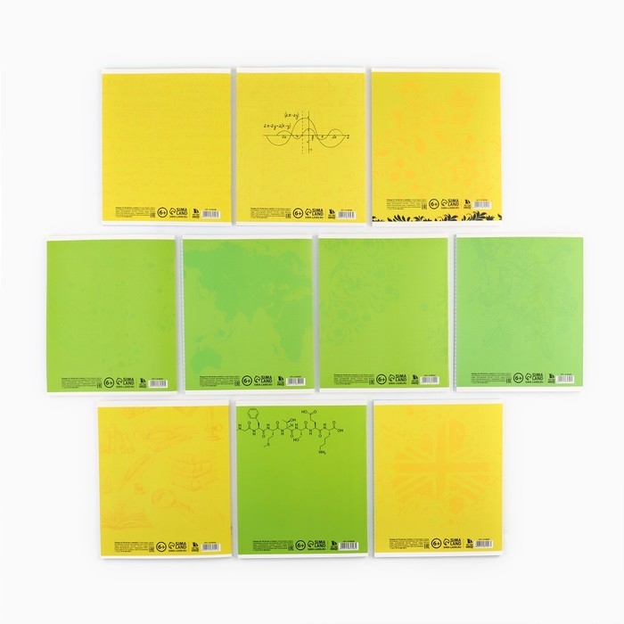 Набор тетрадей 48 листов, 10 предметов, внутренний блок №1 МИКС &laquo;1 сентября: Яркий&raquo; ТВИН лак, уф лак