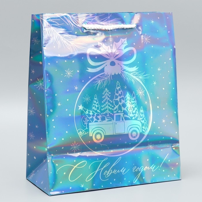 Пакет голографический &laquo;Морозко&raquo;, ML 23 х 27 х 11.5 см, Новый год