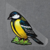 Термотрансфер &laquo;Синица&raquo;, 15 х 13,5 см, набор 10 шт.