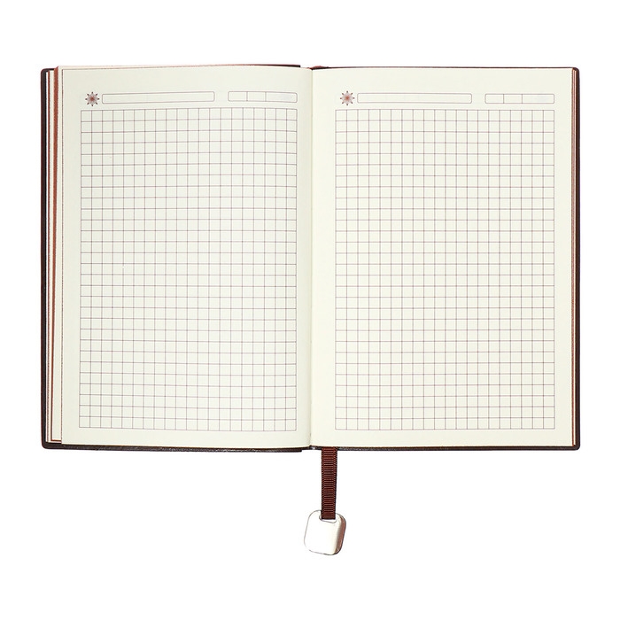 Органайзер на кольцах, B6, 116л, клетка, обл.кожзам, коричневый срез, Черный