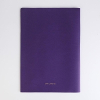 Папка для документов «Docs», 8 файлов А4 Папка для документов «Docs», 8 файлов А4