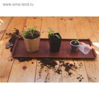 Поддон для рассады, 48 &times; 14 &times; 2 см, цвет МИКС