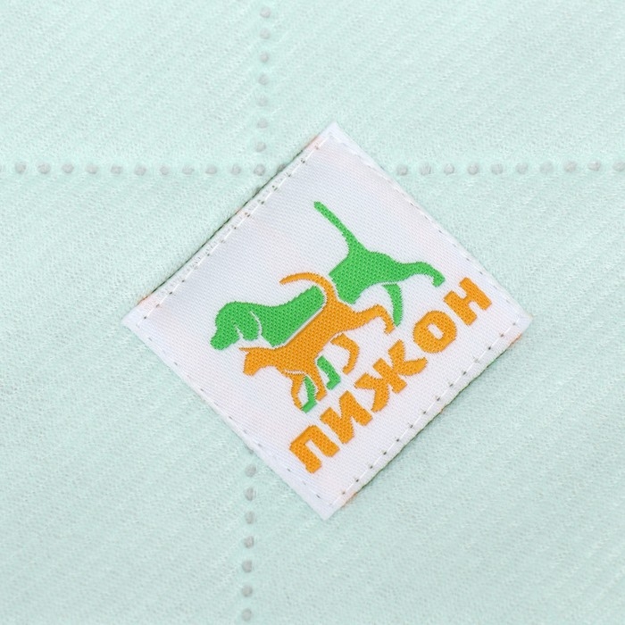 Пелёнка для животных многоразовая впитывающая, 60 х 50 см, мятная Пелёнка для животных многоразовая впитывающая, 60 х 50 см, мятная