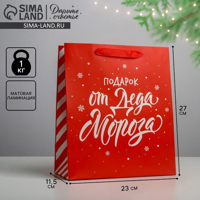 Пакет подарочный новогодний ламинированный &laquo;Подарок от Деда Мороза&raquo;, ML 23 х 27 х 11,5 см, Новый год