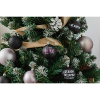 Шары ёлочные новогодние &laquo;Беру все вино на себя&raquo;, на Новый год, пластик, d=6, 6 шт., цвет чёрный и нежно - розовый