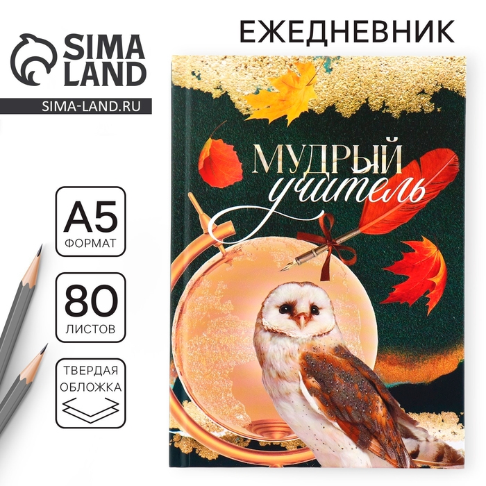 Ежедневник, твёрдая обложка, формат А5, 80 листов &laquo;Учителю: Мудрый учитель&raquo;