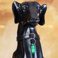 Адресник - капсула под записку, 2,2 х 1,3 см, зелёный Адресник - капсула под записку, 2,2 х 1,3 см, зелёный