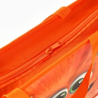 Папка с ручками пластик А4, 75мм 330*260 ПМ-А4-26 Буки Бяки