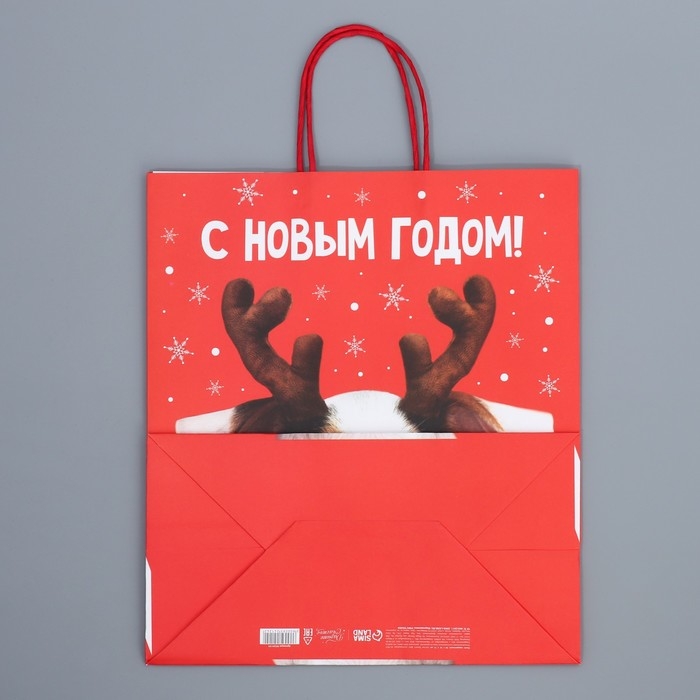 Пакет подарочный новогодний крафтовый &laquo;Олень ты&raquo;, 28 х 32 х 15 см