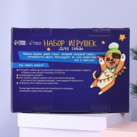 Набор мячей для собак &laquo;Подарочки!&raquo;, 5 мячей