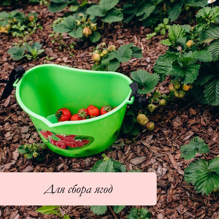 Ёмкость для сбора ягод, 3 л, &laquo;Малина&raquo;
