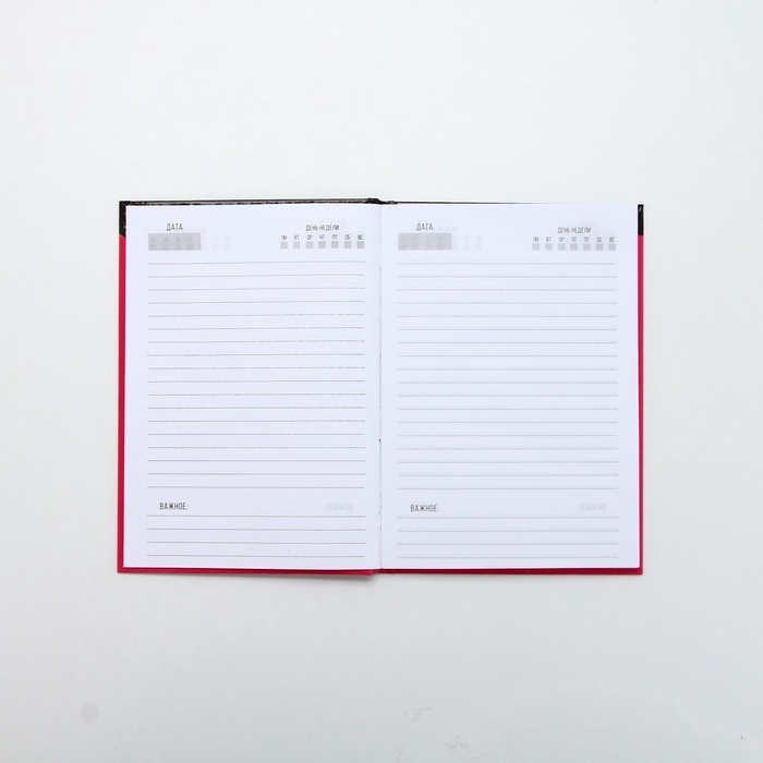 Подарочный набор ЧИСТОЕ СЧАСТЬЕ &laquo;Плачь, детка&raquo;: гель для душа виски 250 мл и ежедневник