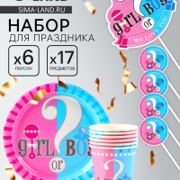 Набор одноразовой посуды &laquo;Гендер Пати&raquo;, 17 предметов