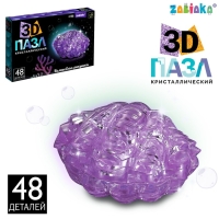 3D пазл «Волшебная ракушка», кристаллический, 48 деталей 3D пазл «Волшебная ракушка», кристаллический, 48 деталей