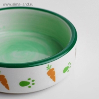 Миска керамическая с морковками 100 мл 8,8 х 8,8 х 3 см, белая/зелёная Миска керамическая с морковками 100 мл 8,8 х 8,8 х 3 см, белая/зелёная