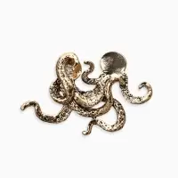 Брошь для кармана "Осьминог", цвет чернёное золото