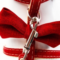 Комплект амуниции "Шахматный джентельмен", поводок 120 х 1 см, красный