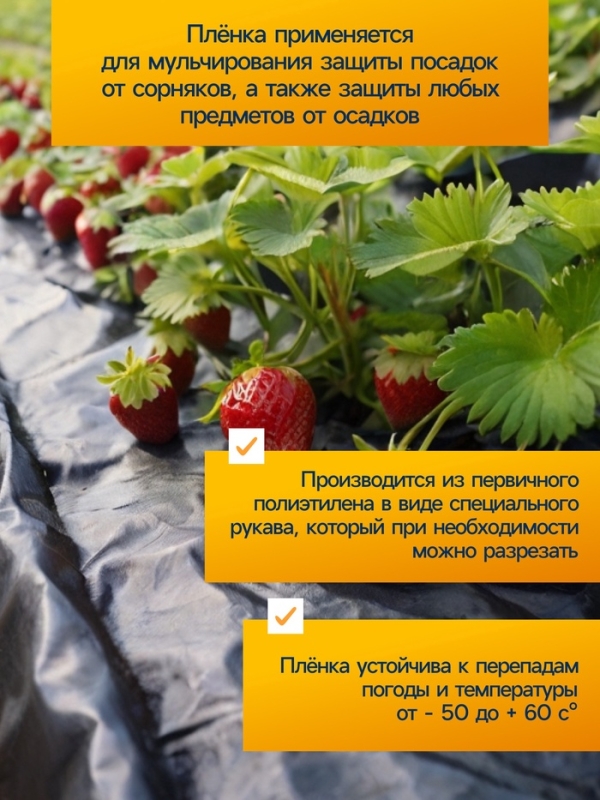 Плёнка полиэтиленовая, техническая, 80 мкм, чёрная, длина 10 м, ширина 3 м, рукав (1.5 м &times; 2), Эконом 50%, Greengo