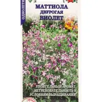 Семена Маттиола Виолет /Сотка/ 0,5 г/ h-50см, d-2см/*1200