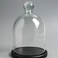 Стеклянный купол-клош на деревянной подставке 17х25 см, чёрный
