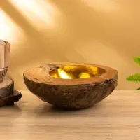 Чаша из кокоса, 22х24,5х9 см, коричнево-золотой