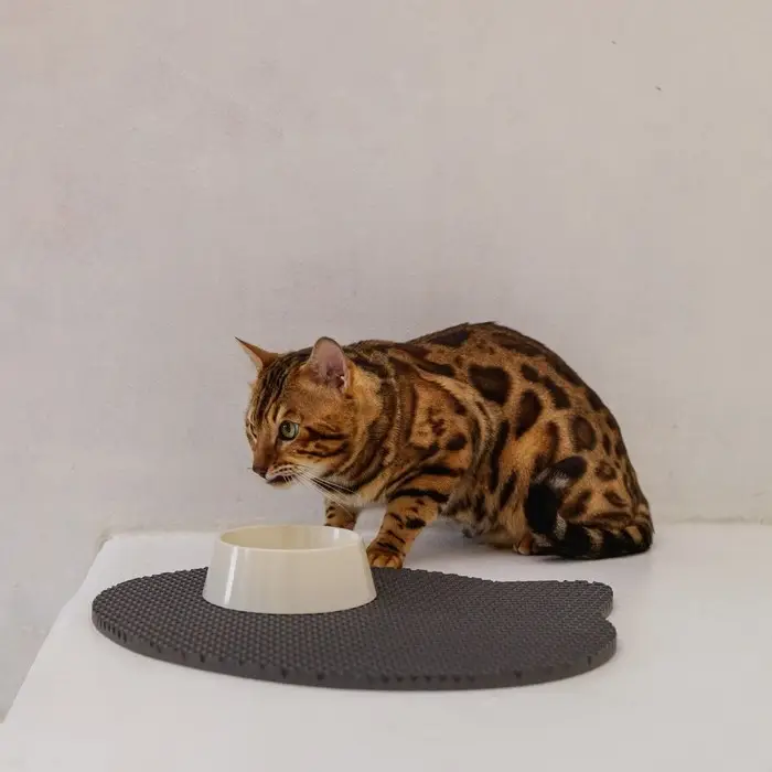 Миска пластиковая 300 мл, бежевая