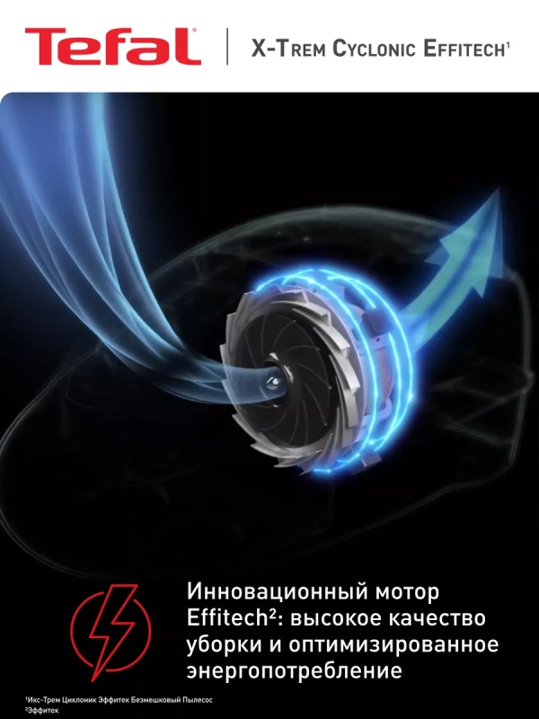 Пылесос с контейнером Extreme Cyclonic Effitech TW7C89EA