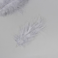 Перо декоративное гусиное пуховое "Серое" набор 40 шт h=10-15 см