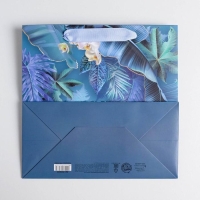 Пакет подарочный ламинированный квадратный, упаковка, &laquo;Magic&raquo;, 22 х 22 х 11 см