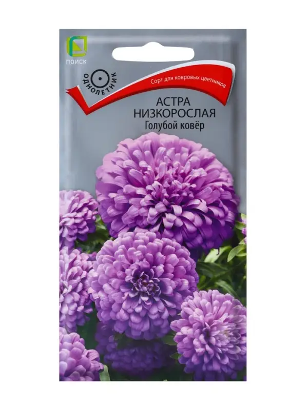 Семена цветов Астра низкорослая "Голубой ковер", 0,2 г