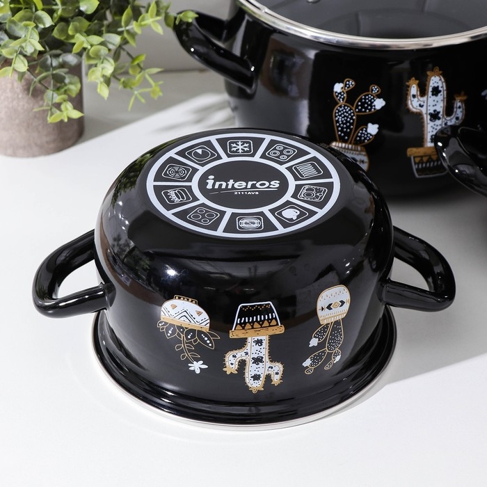 Набор кастрюль &laquo;Чёрные кактусы&raquo;, 3 предмета: 2,1 л, 3,1 л, 4 л, индукция