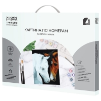 Картина по номерам &laquo;Нежные чувства&raquo;, 40 &times; 50 см, на черном холсте