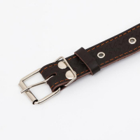 Ошейник кожаный усиленный капроном с полукольцом, 62 х 3,5 см, ОШ 33-60 см, коричневый Ошейник кожаный усиленный капроном с полукольцом, 62 х 3,5 см, ОШ 33-60 см, коричневый