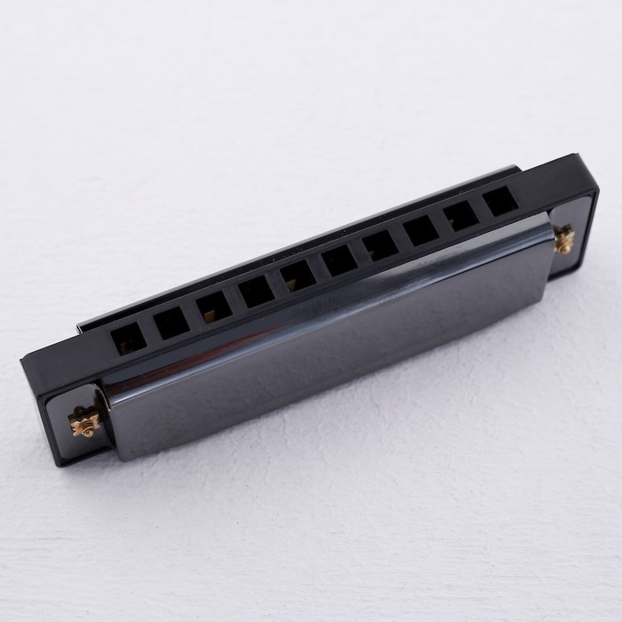 Губная гармошка Music Life, диатоническая, C-major, с футляром, черная Губная гармошка Music Life, диатоническая, C-major, с футляром, черная