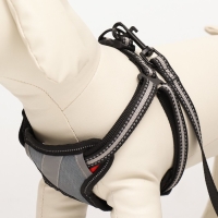 Комплект амуниции светоотражающий, размер S, ОГ 35-60 см, стропа 1,5 см, серый Комплект амуниции светоотражающий, размер S, ОГ 35-60 см, стропа 1,5 см, серый