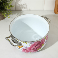 Кастрюля эмалированная &laquo;Пион&raquo;, 3.1 л, индукция