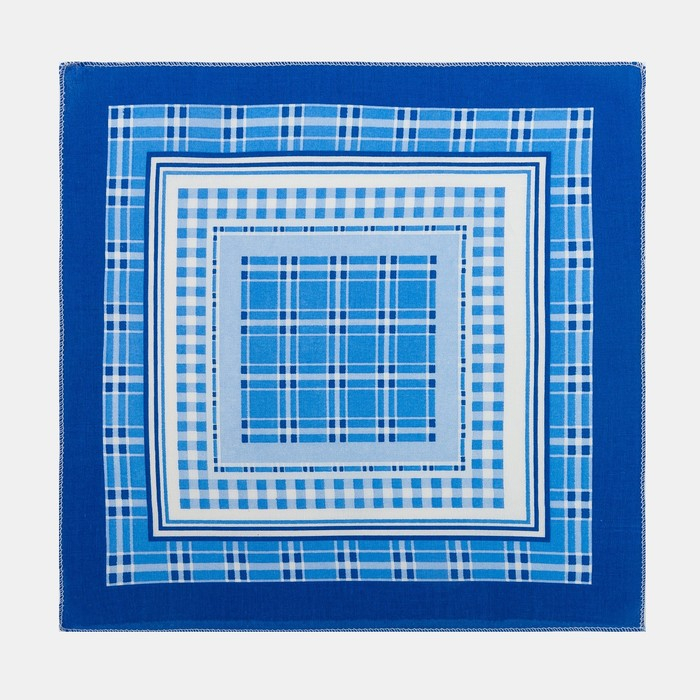 Платки носовые мужские Этель 30*30 см,(набор 12 шт,) цв.Голубой, рис. МИКС 100% хл Платки носовые мужские Этель 30*30 см,(набор 12 шт,) цв.Голубой, рис. МИКС 100% хл