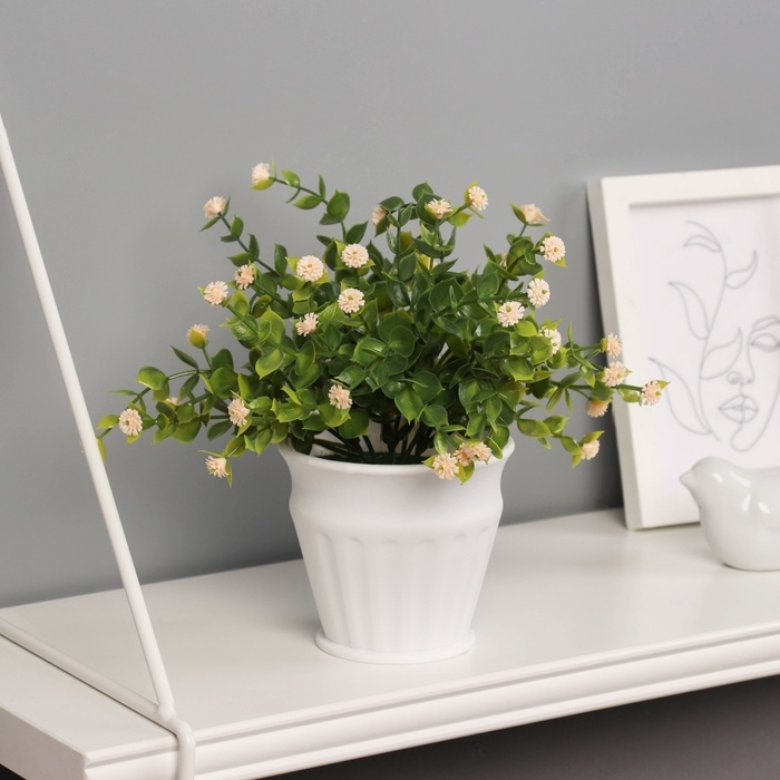 Бонсай в горшке "Гомфрена премиум" 21х10 см, микс