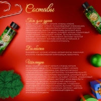 Новогодний подарочный набор косметики &laquo;Снежные сказки&raquo; для душа и ванны, зеленая серия